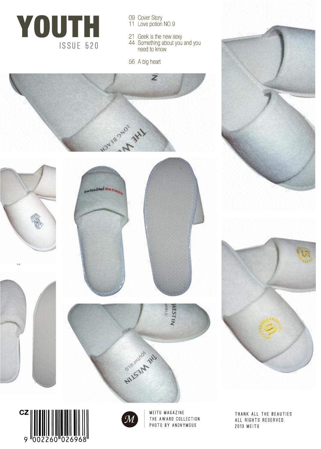 Hotel Slipper